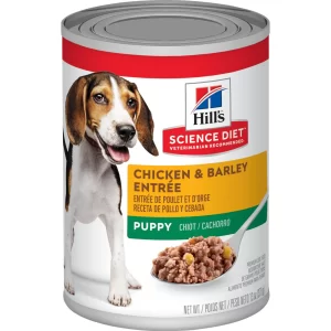 SCIENCE DIET LATA CHICKEN AND BARLEY PUPPY 13 OZ