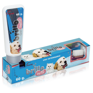 BRILLO DENTAL 60G